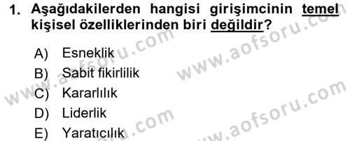 Girişimcilik Dersi 2016 - 2017 Yılı (Final) Dönem Sonu Sınav Soruları 1. Soru