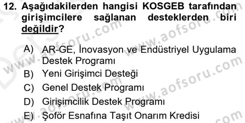 Girişimcilik Dersi 2017 - 2018 Yılı 3 Ders Sınav Soruları 12. Soru