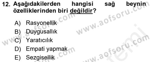 Girişimcilik Dersi 2017 - 2018 Yılı (Vize) Ara Sınav Soruları 12. Soru