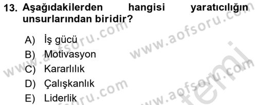 Girişimcilik Dersi 2021 - 2022 Yılı (Vize) Ara Sınav Soruları 13. Soru