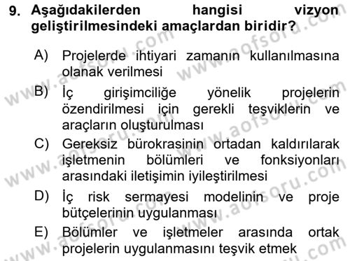 Girişimcilik Dersi 2021 - 2022 Yılı (Vize) Ara Sınav Soruları 9. Soru