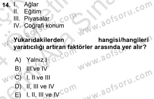 Girişimcilik Dersi 2023 - 2024 Yılı (Vize) Ara Sınav Soruları 14. Soru