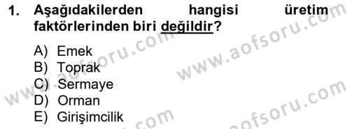 Ekonomik Analiz Dersi 2012 - 2013 Yılı (Vize) Ara Sınav Soruları 1. Soru