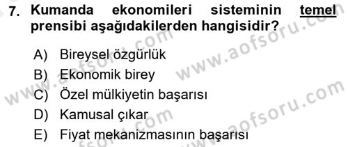 Ekonomik Analiz Dersi 2015 - 2016 Yılı (Vize) Ara Sınav Soruları 7. Soru