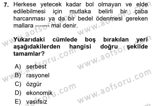 Ekonomik Analiz Dersi 2018 - 2019 Yılı (Vize) Ara Sınav Soruları 7. Soru