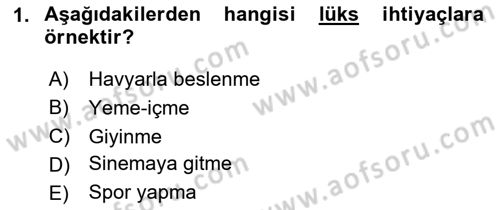 Ekonomik Analiz Dersi 2020 - 2021 Yılı Yaz Okulu Sınav Soruları 1. Soru