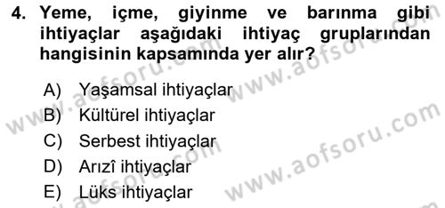 Ekonomik Analiz Dersi 2020 - 2021 Yılı Yaz Okulu Sınav Soruları 4. Soru