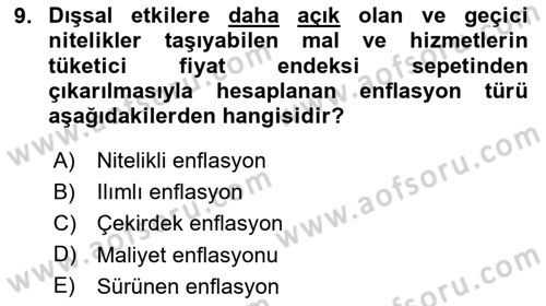 Ekonomik Analiz Dersi 2020 - 2021 Yılı Yaz Okulu Sınav Soruları 9. Soru