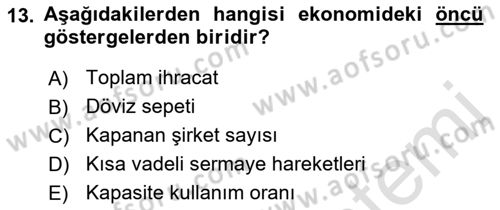 Ekonomik Analiz Dersi 2021 - 2022 Yılı (Final) Dönem Sonu Sınav Soruları 13. Soru