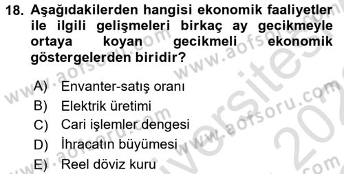 Ekonomik Analiz Dersi 2021 - 2022 Yılı Yaz Okulu Sınav Soruları 18. Soru