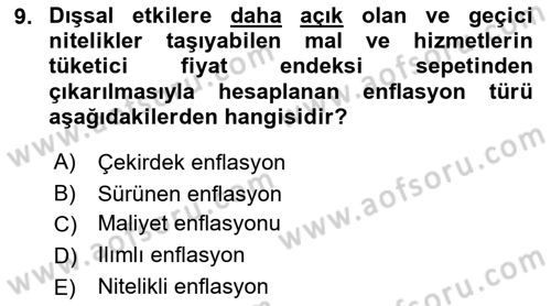 Ekonomik Analiz Dersi 2021 - 2022 Yılı Yaz Okulu Sınavı 9. Soru