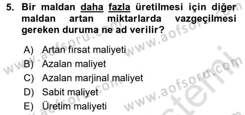 Ekonomik Analiz Dersi 2023 - 2024 Yılı (Vize) Ara Sınavı 5. Soru