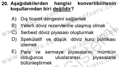 Ekonomik Analiz Dersi 2023 - 2024 Yılı (Final) Dönem Sonu Sınav Soruları 20. Soru