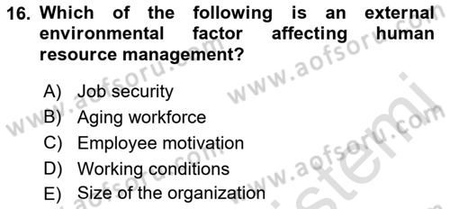 Introduction to Business Dersi 2017 - 2018 Yılı (Vize) Ara Sınav Soruları 16. Soru