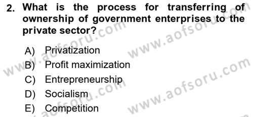 Introduction to Business Dersi 2017 - 2018 Yılı (Vize) Ara Sınav Soruları 2. Soru