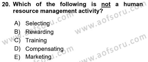 Introduction to Business Dersi 2017 - 2018 Yılı (Vize) Ara Sınav Soruları 20. Soru