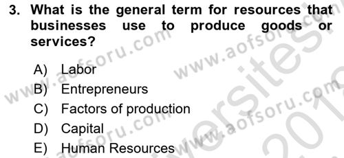 Introduction to Business Dersi 2017 - 2018 Yılı (Vize) Ara Sınav Soruları 3. Soru