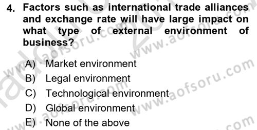 Introduction to Business Dersi 2017 - 2018 Yılı (Vize) Ara Sınav Soruları 4. Soru