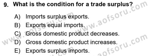 Introduction to Business Dersi 2017 - 2018 Yılı (Vize) Ara Sınav Soruları 9. Soru