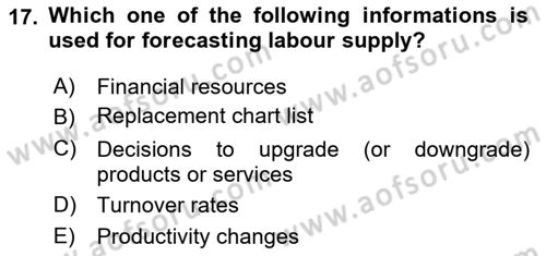 Introduction to Business Dersi 2018 - 2019 Yılı (Vize) Ara Sınav Soruları 17. Soru