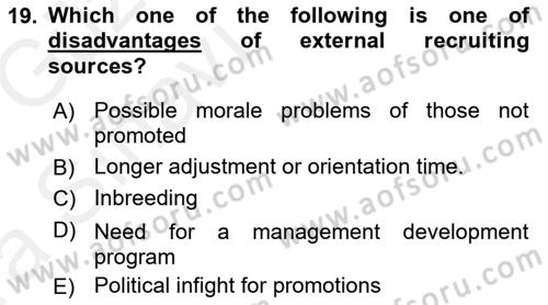 Introduction to Business Dersi 2018 - 2019 Yılı (Vize) Ara Sınav Soruları 19. Soru