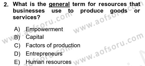 Introduction to Business Dersi 2018 - 2019 Yılı (Vize) Ara Sınav Soruları 2. Soru