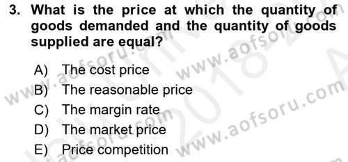 Introduction to Business Dersi 2018 - 2019 Yılı (Vize) Ara Sınav Soruları 3. Soru