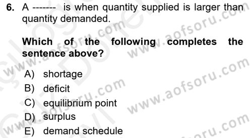 Introduction to Business Dersi Ara Sınavı Deneme Sınav Soruları 6. Soru