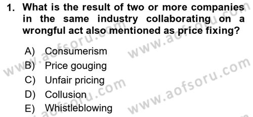 Introduction to Business Dersi 2018 - 2019 Yılı (Final) Dönem Sonu Sınav Soruları 1. Soru