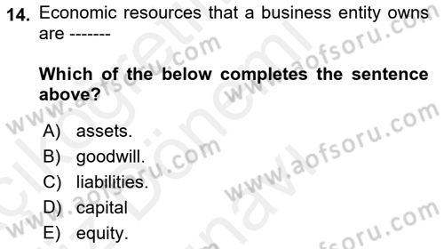 Introduction to Business Dersi 2018 - 2019 Yılı (Final) Dönem Sonu Sınav Soruları 14. Soru