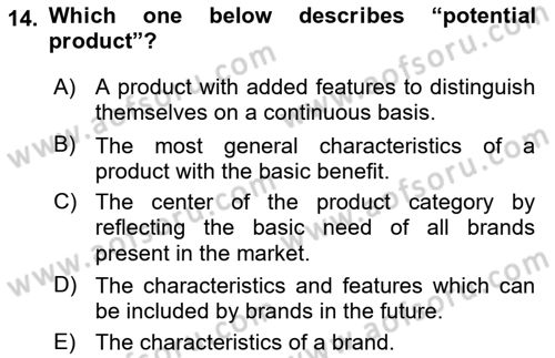 Introduction to Business Dersi 2018 - 2019 Yılı Yaz Okulu Sınav Soruları 14. Soru