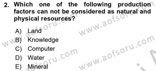 Introduction to Business Dersi 2018 - 2019 Yılı Yaz Okulu Sınav Soruları 2. Soru