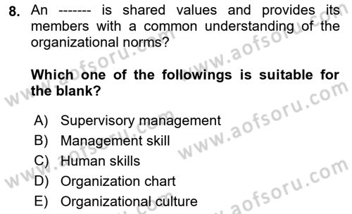 Introduction to Business Dersi 2018 - 2019 Yılı Yaz Okulu Sınav Soruları 8. Soru