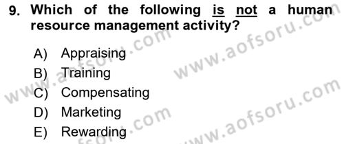 Introduction to Business Dersi 2018 - 2019 Yılı Yaz Okulu Sınav Soruları 9. Soru