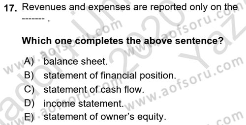 Introduction to Business Dersi 2020 - 2021 Yılı Yaz Okulu Sınav Soruları 17. Soru