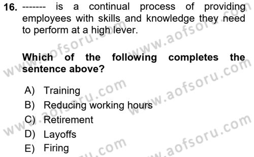 Introduction to Business Dersi Ara Sınavı Deneme Sınav Soruları 16. Soru