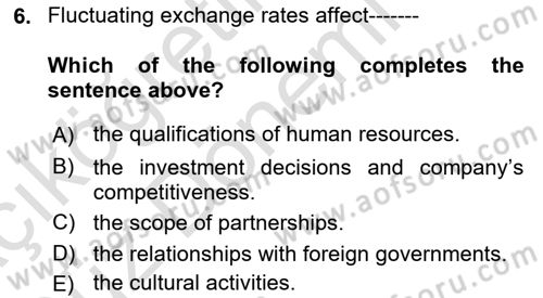 Introduction to Business Dersi Ara Sınavı Deneme Sınav Soruları 6. Soru