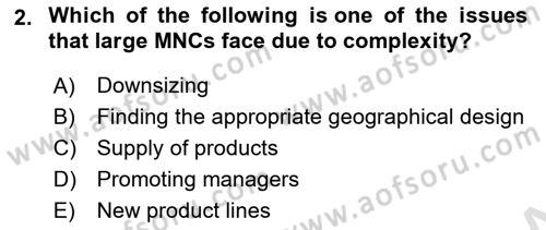 Introduction to Business Dersi 2021 - 2022 Yılı (Final) Dönem Sonu Sınav Soruları 2. Soru