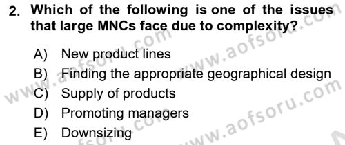 Introduction to Business Dersi 2021 - 2022 Yılı Yaz Okulu Sınav Soruları 2. Soru