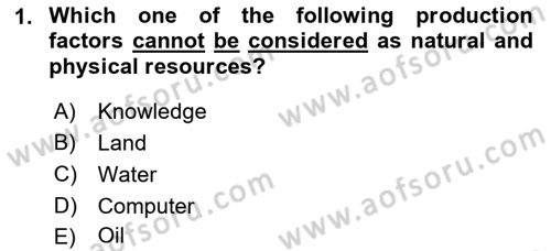 Introduction to Business Dersi Ara Sınavı Deneme Sınav Soruları 1. Soru