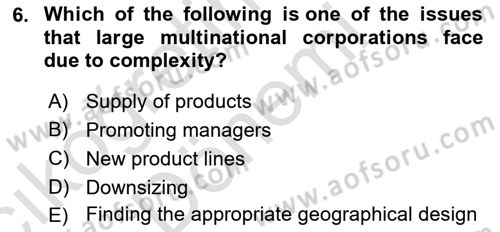 Introduction to Business Dersi Ara Sınavı Deneme Sınav Soruları 6. Soru