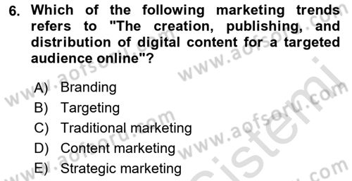 Introduction to Business Dersi 2023 - 2024 Yılı (Final) Dönem Sonu Sınav Soruları 6. Soru