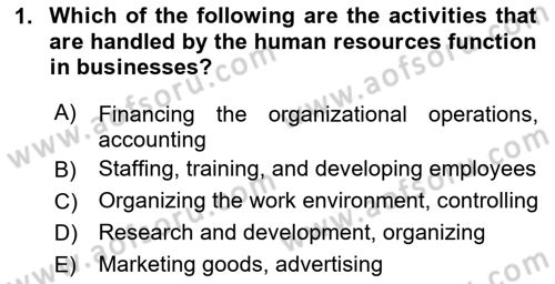 Introduction to Business Dersi 2023 - 2024 Yılı Yaz Okulu Sınav Soruları 1. Soru