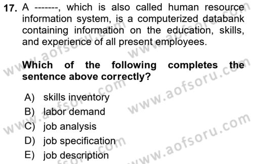 Introduction to Business Dersi 2024 - 2025 Yılı (Vize) Ara Sınav Soruları 17. Soru