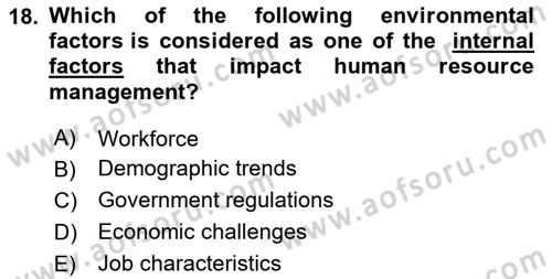 Introduction to Business Dersi 2024 - 2025 Yılı (Vize) Ara Sınav Soruları 18. Soru