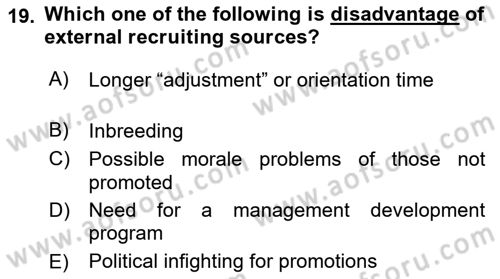 Introduction to Business Dersi 2024 - 2025 Yılı (Vize) Ara Sınav Soruları 19. Soru
