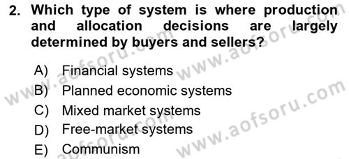 Introduction to Business Dersi 2024 - 2025 Yılı (Vize) Ara Sınav Soruları 2. Soru