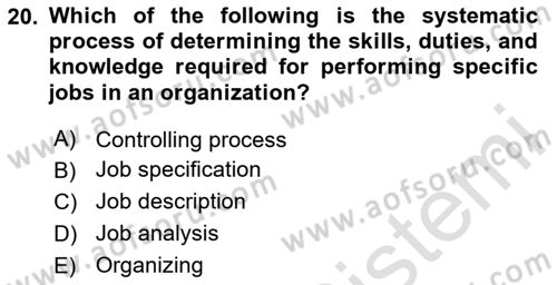 Introduction to Business Dersi Ara Sınavı Deneme Sınav Soruları 20. Soru