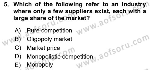 Introduction to Business Dersi 2024 - 2025 Yılı (Vize) Ara Sınav Soruları 5. Soru