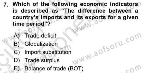Introduction to Business Dersi 2024 - 2025 Yılı (Vize) Ara Sınav Soruları 7. Soru
